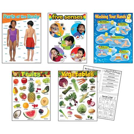 Trend Enterprises Healthy Living Learning Charts Combo Pack, Set of 5 T38980